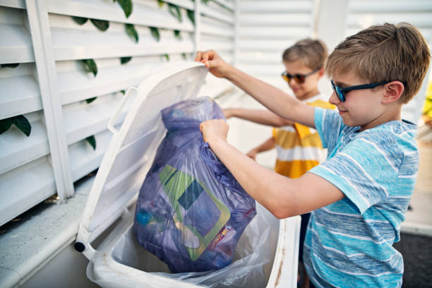 Best Yard Cleanup Services  in Despard, WV