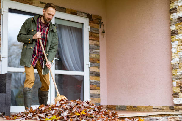 Best Junk Removal for Businesses  in Despard, WV