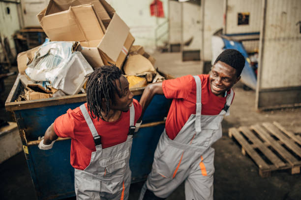 Yard Cleanup Services in Despard, WV