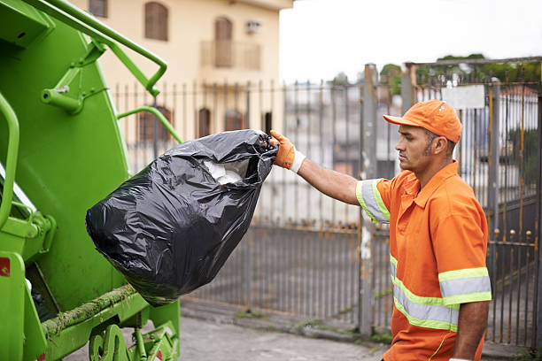 Professional Junk Removal in Despard, WV