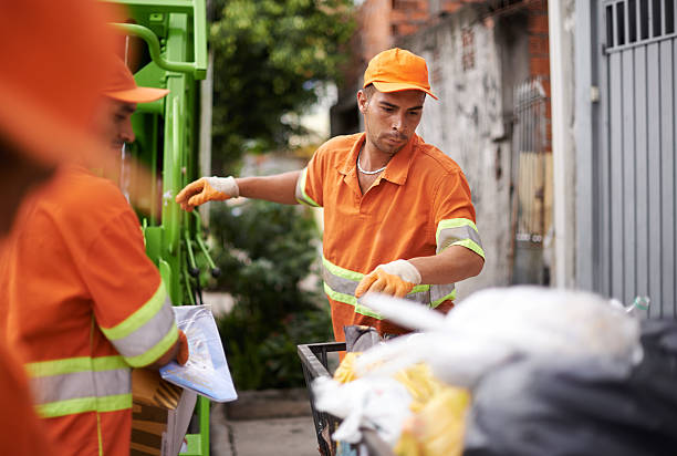 Best Yard Waste Removal  in Despard, WV