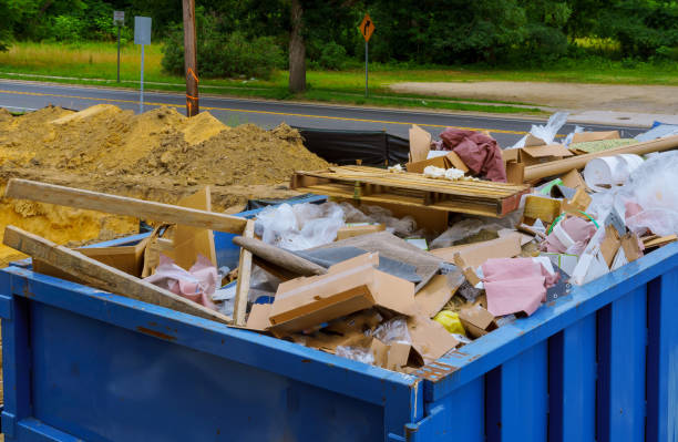 Best Junk Hauling Services  in Despard, WV