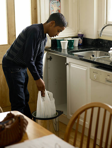 Best Household Junk Removal  in Despard, WV